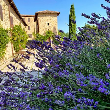 Castello Di Viano Villa Luaran gambar