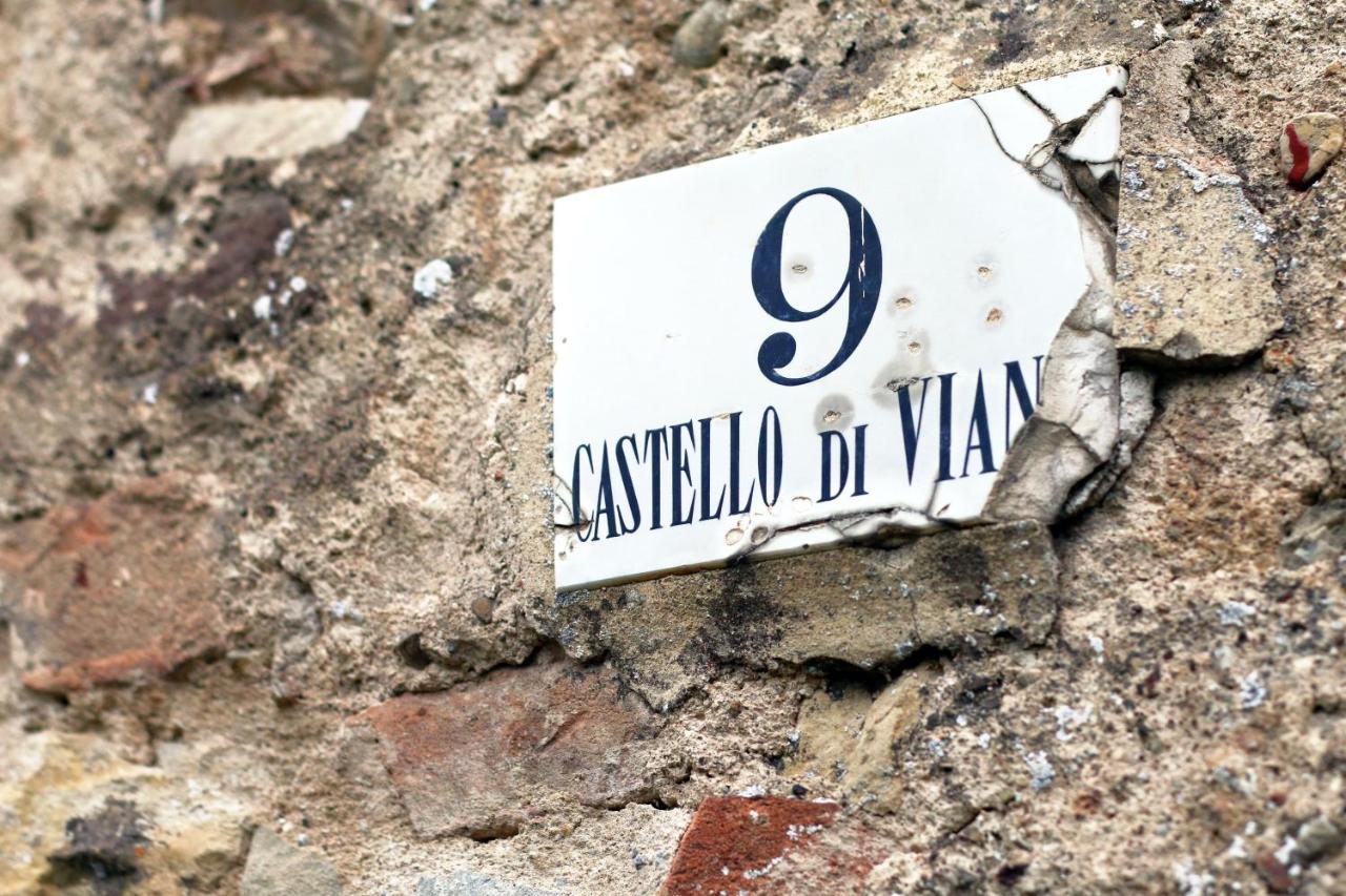 Castello Di Viano Villa Luaran gambar
