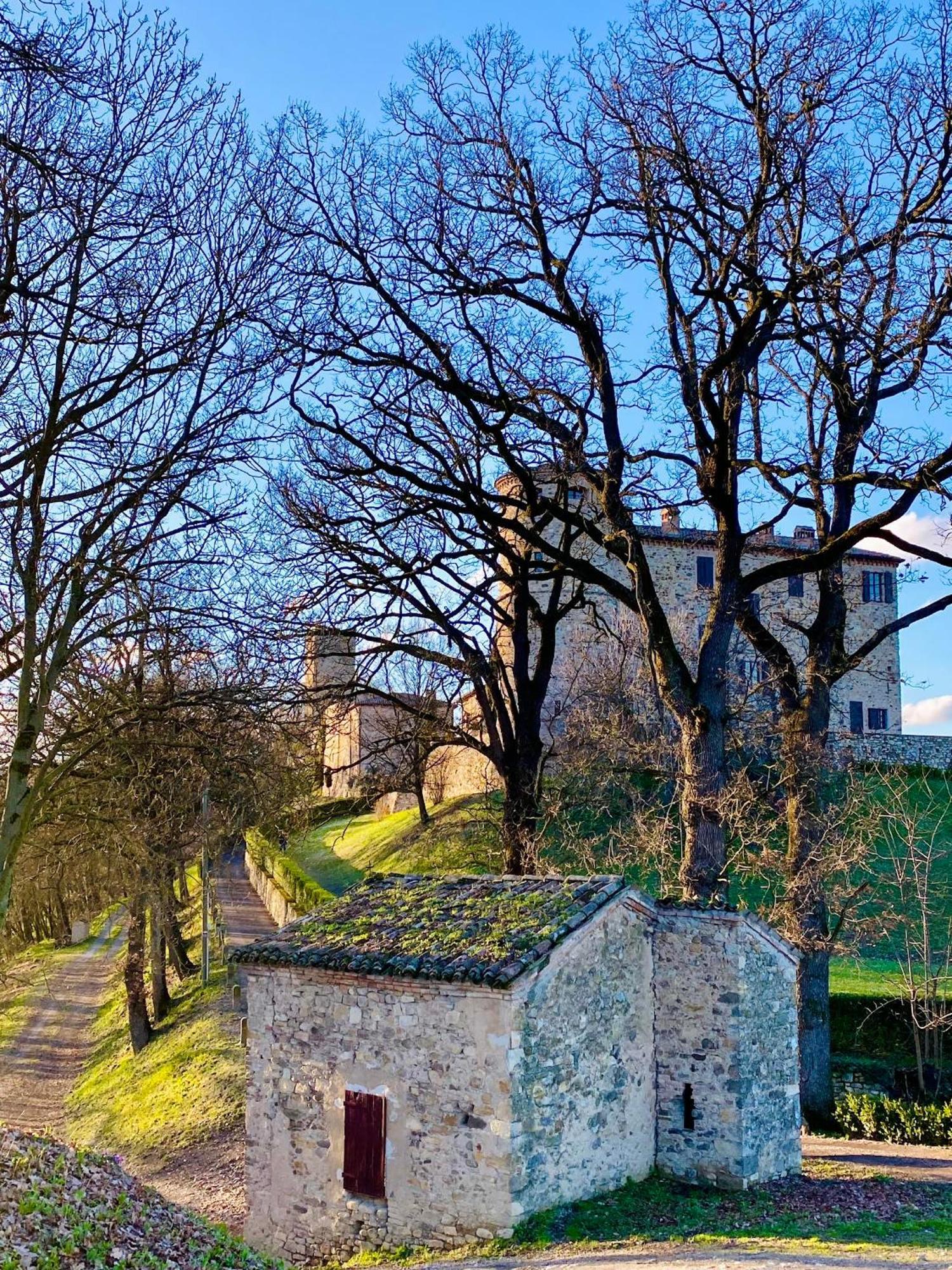 Castello Di Viano Villa Luaran gambar