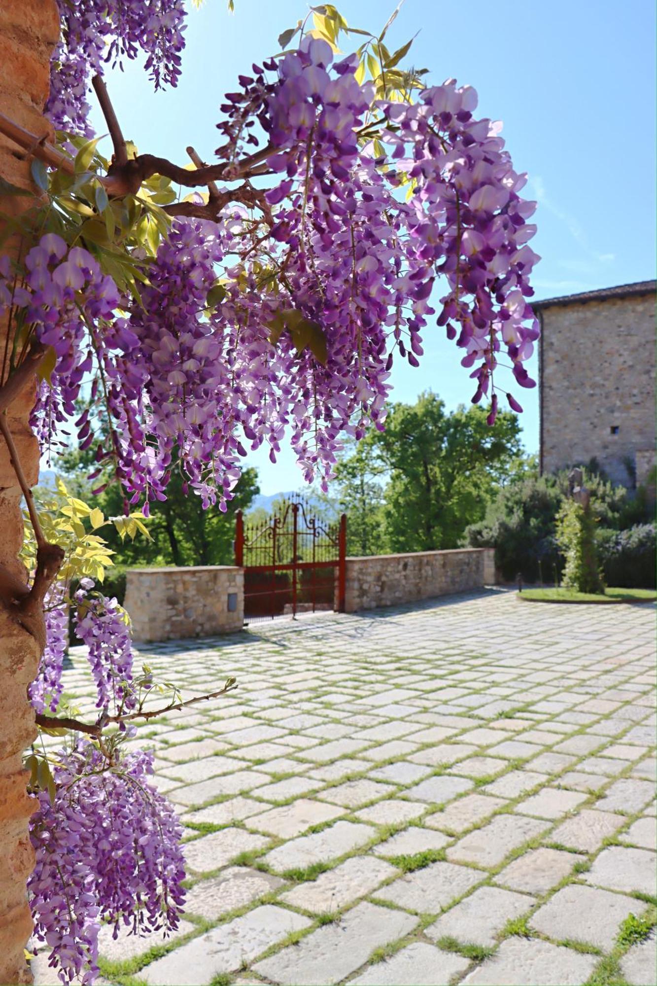 Castello Di Viano Villa Luaran gambar