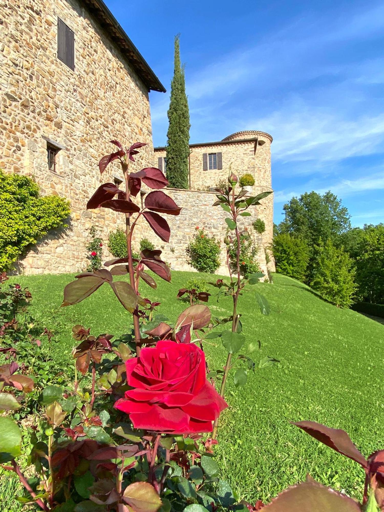 Castello Di Viano Villa Luaran gambar