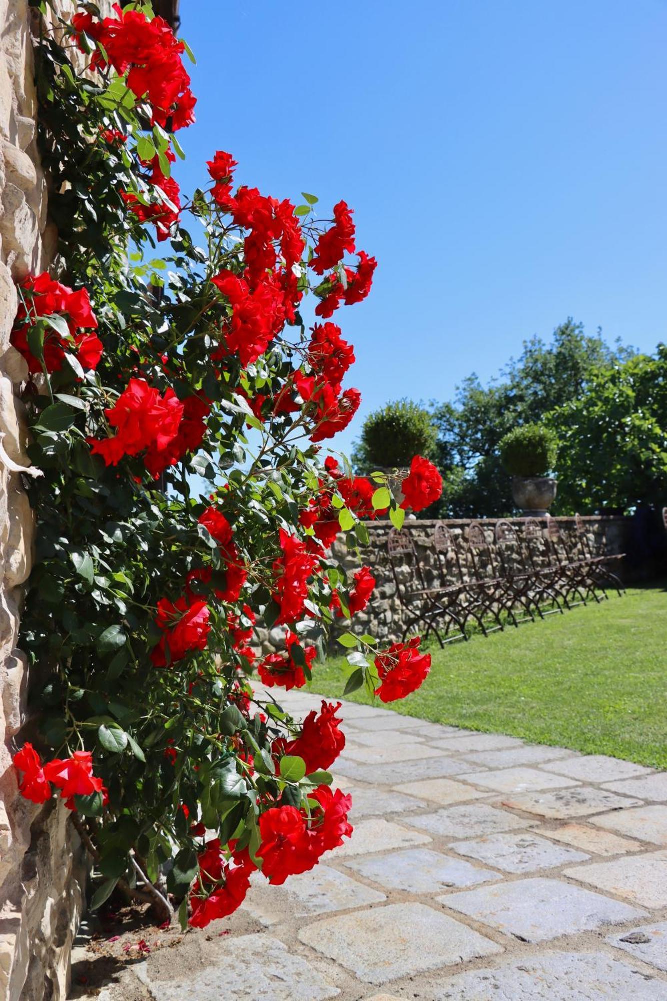 Castello Di Viano Villa Luaran gambar