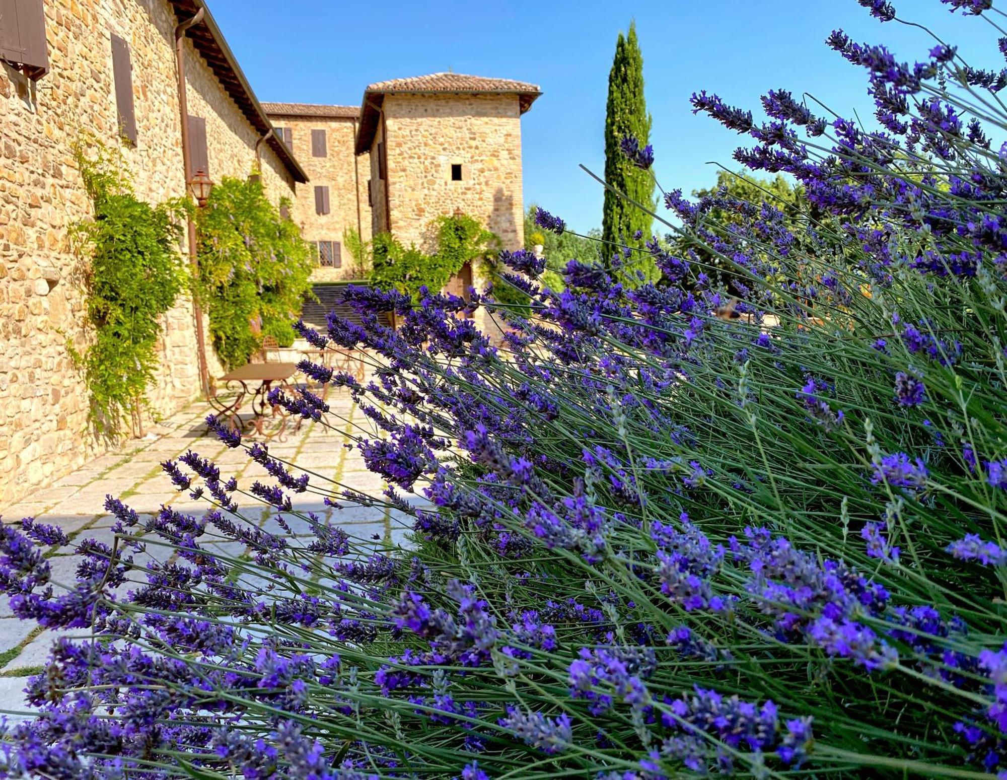 Castello Di Viano Villa Luaran gambar